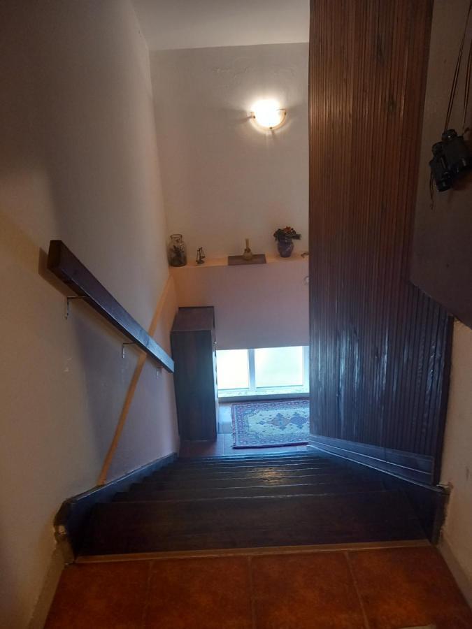 Cosy Rooftop Studio With Balcony Beograd Ngoại thất bức ảnh